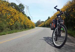 一个没有焦虑的新赛道