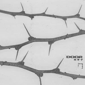 门歌词 - 刘宇宁