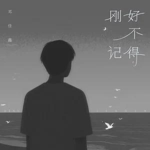 刚好不记得歌词 - TF_ING邓佳鑫