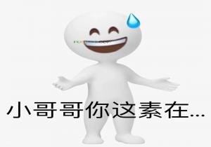 这素在是什么意思