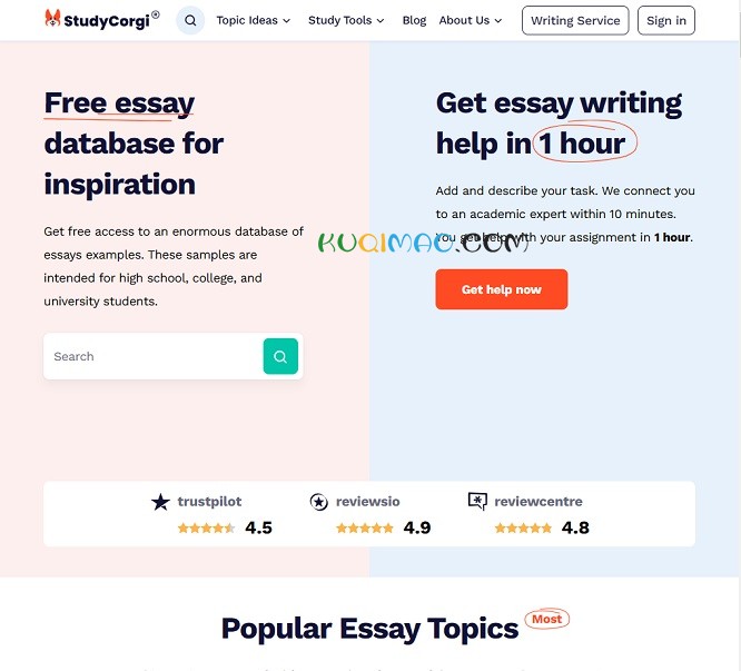 StudyCorgi网站截图