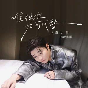 唯独你无可代替 (DJ阿远版)歌词 - 白小白