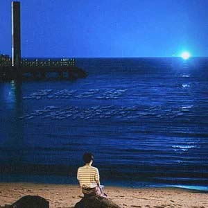 虽然已经开始新的生活