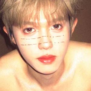 我赖以生存的隐喻