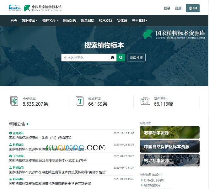 中国数字植物标本馆（CVH）网站截图