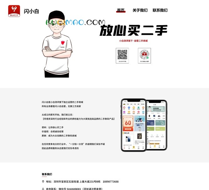 闪小白网站截图