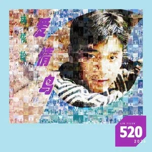 爱情鸟（520 版）