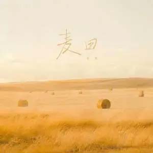 麦田歌词 - 邵帅