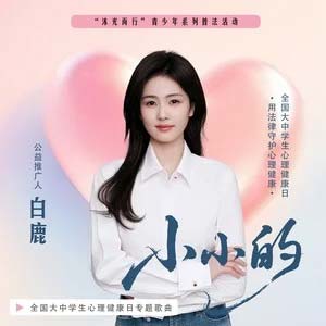 小小的歌词 - 白鹿
