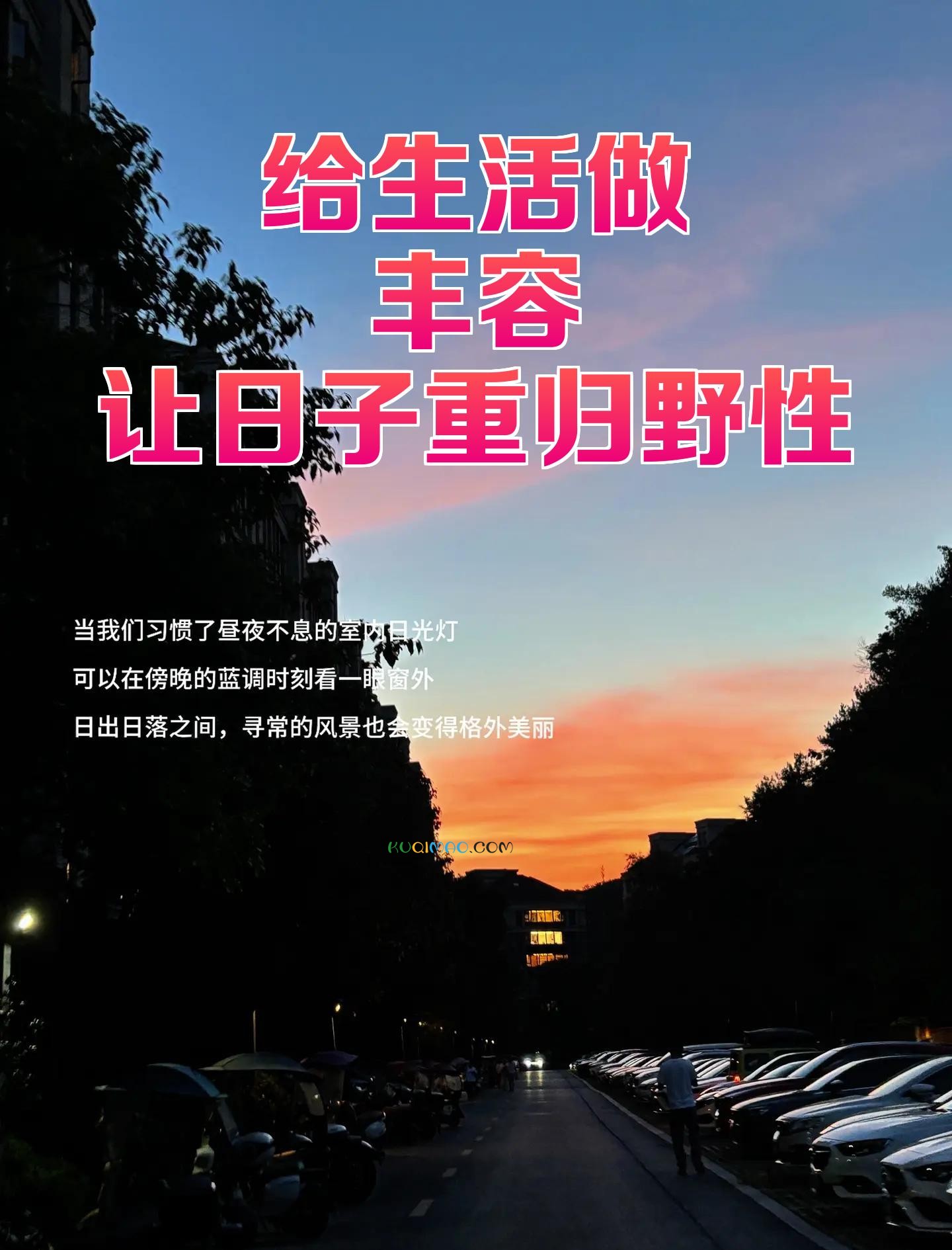 人类丰容