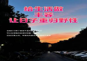 人类丰容是什么意思