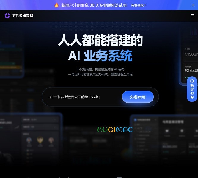 飞书多维表格网站截图