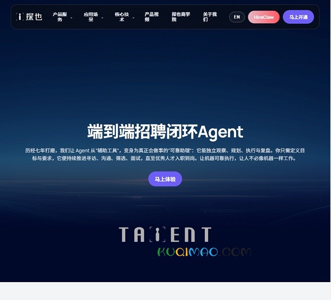 探也智能网站截图
