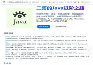 二哥的Java进阶之路
