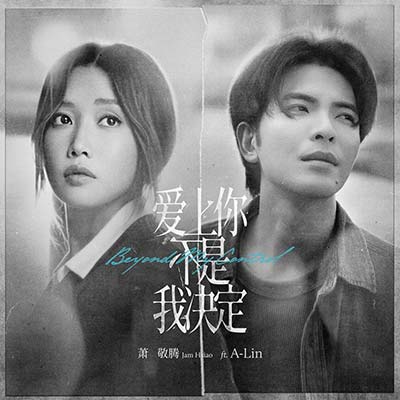 爱上你不是我决定歌词 - 萧敬腾/黄丽玲