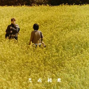 灵魂相愿