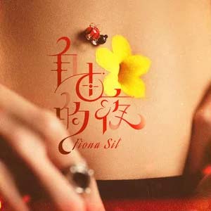 自由的夜歌词 - 薛凯琪