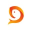大鱼号logo图标