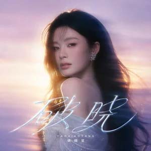 一万公里的思念歌词 - 姚晓棠