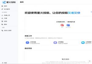 星火投标
