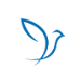 小鸽子logo图标
