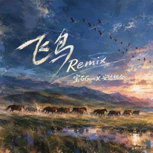 飞鸟Remix