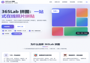 365Lab 拼图